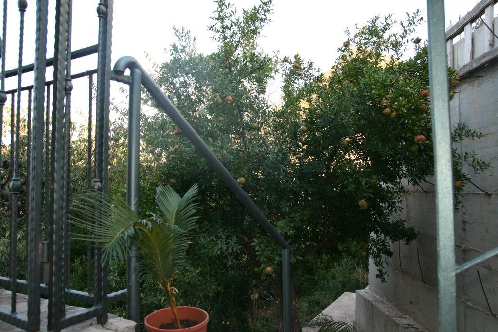 Apartments Villa Cucuk บุดวา ภายนอก รูปภาพ